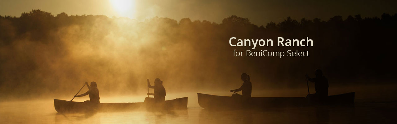 canyon ranch home resort lenox banner